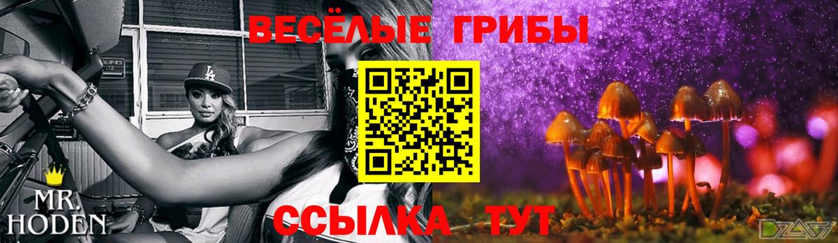 Псилоцибиновые грибы ЛСД  Галлюциногенные грибы Cubensis  Вход с VPN  Сокол 