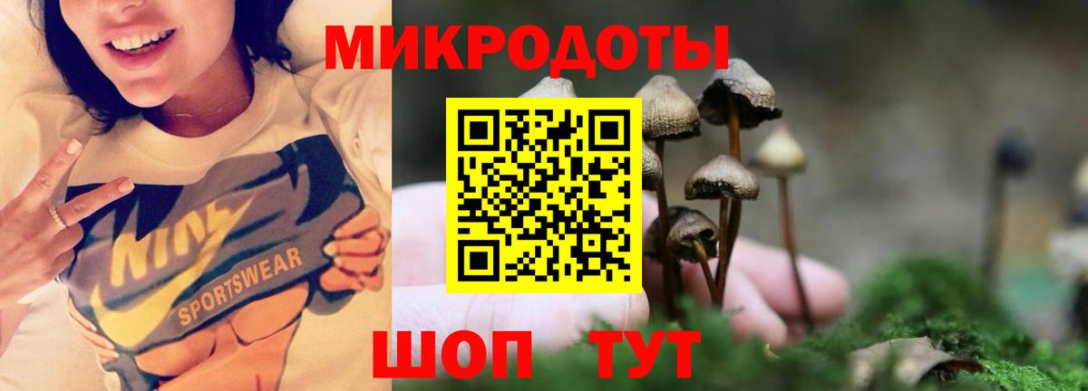 Галлюциногенные грибы Magic Shrooms Сокол