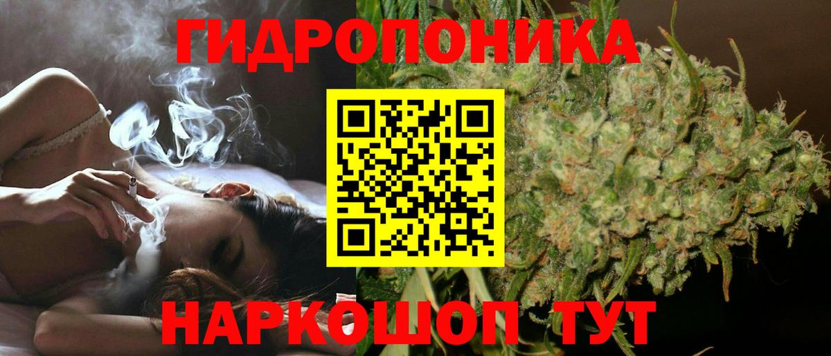 Каннабис MAZAR Сокол